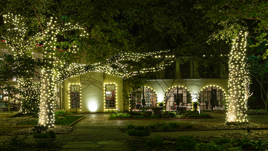 Christmas Lights