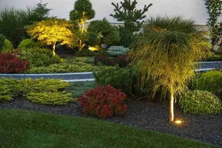landscape lighting
