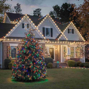 holiday lights