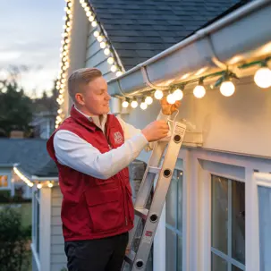 hanging lights