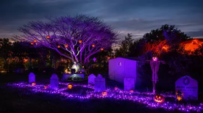 Lighting Pros by J Bell Photo