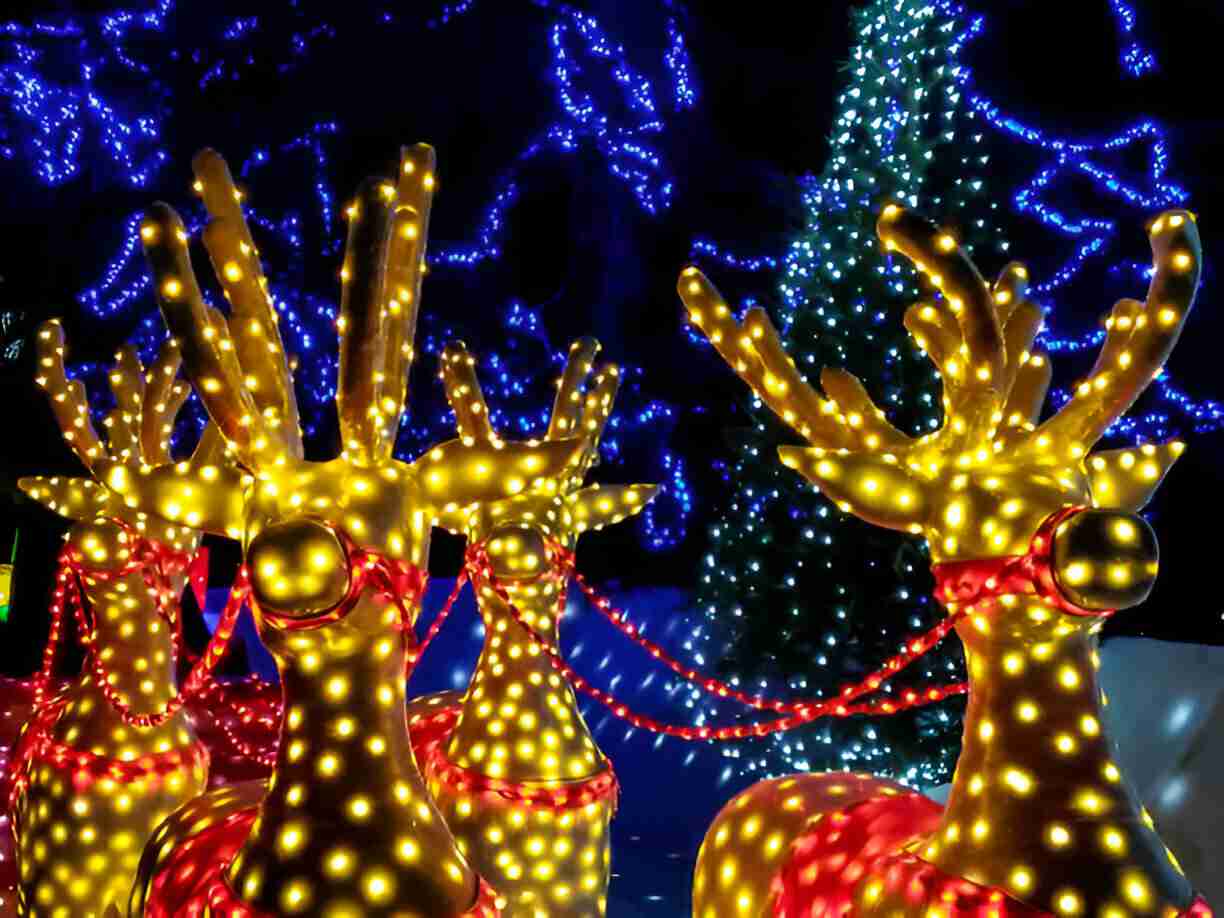Professional Holiday Lighting Installation in Texas